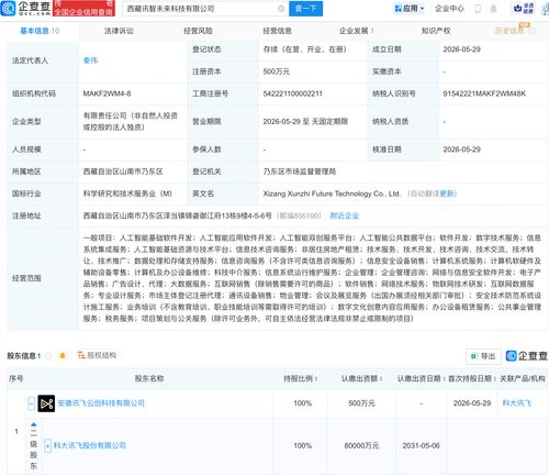 科大訊飛在西藏布局 新公司含多項AI業務，人工智能應用迎來區域新范例